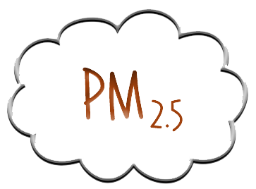 The Story of PM2.5