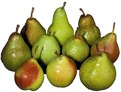 Pears for Baked Wardens
